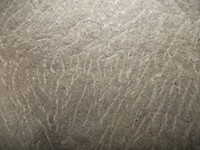gale-20120725 130